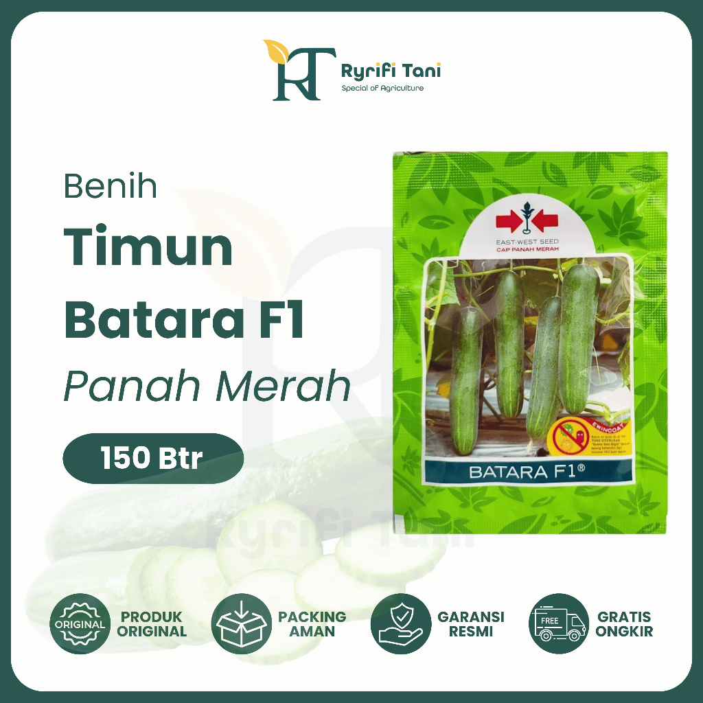 Panah Merah - Benih Timun Mentimun BATARA F1 150/800 Butir Cap Panah Merah