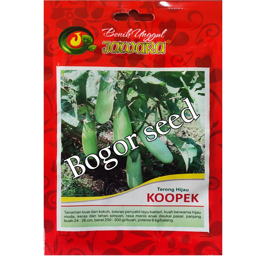 terong hijau = bibiit unggulan terong hijau KOPEK 10gr  - benih terong hijau unggul ( ±2500 biji )