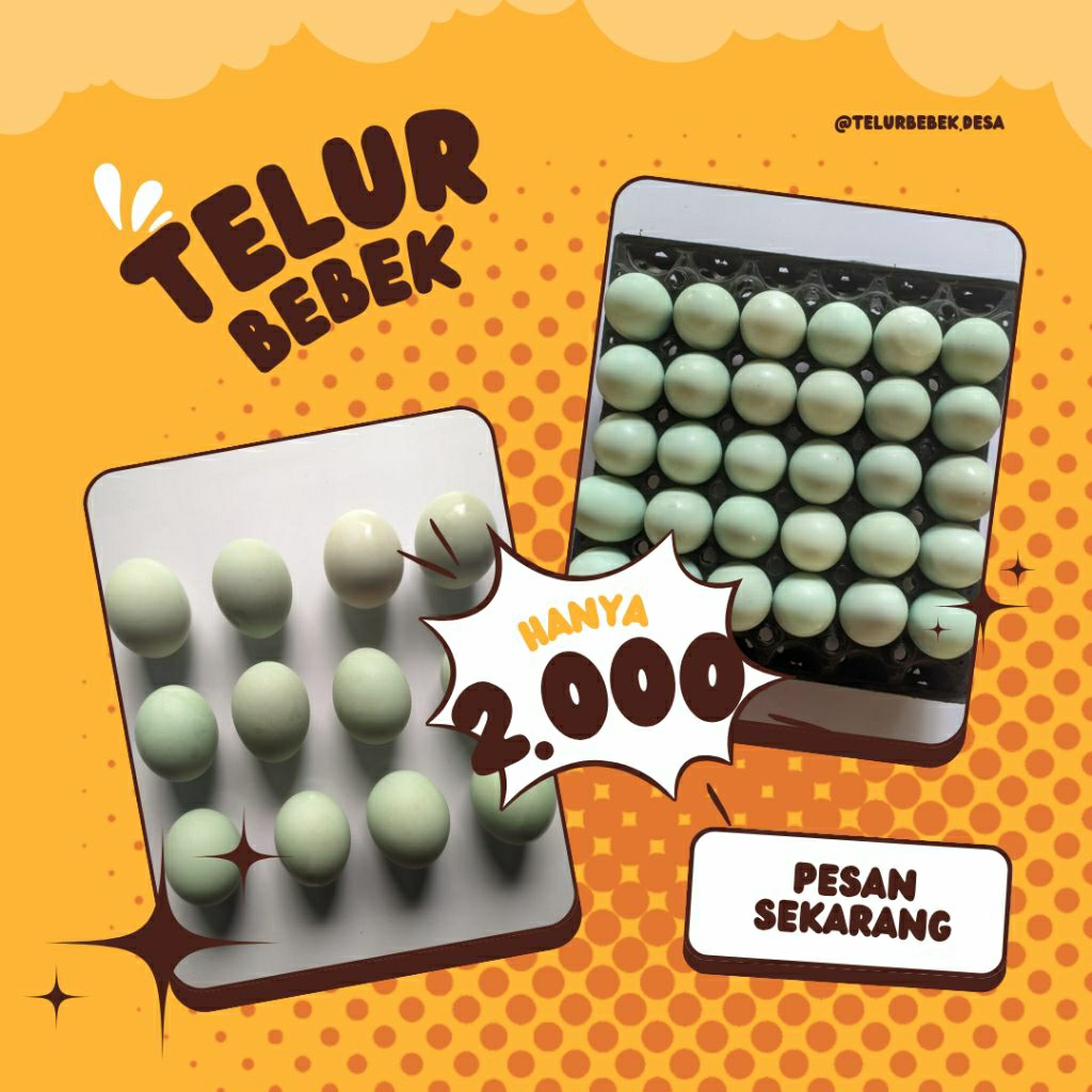 

Telur bebek