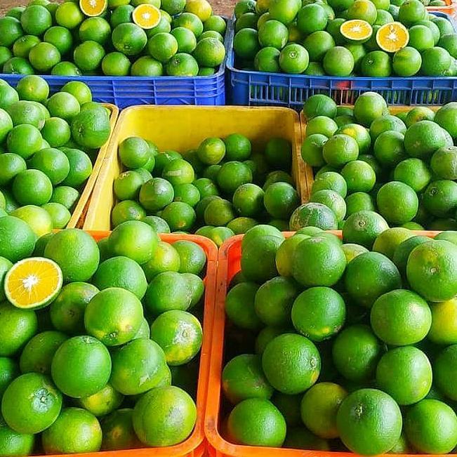 

Jeruk - Baby Java Malang - Jeruk Iris Batu - 1 Kg