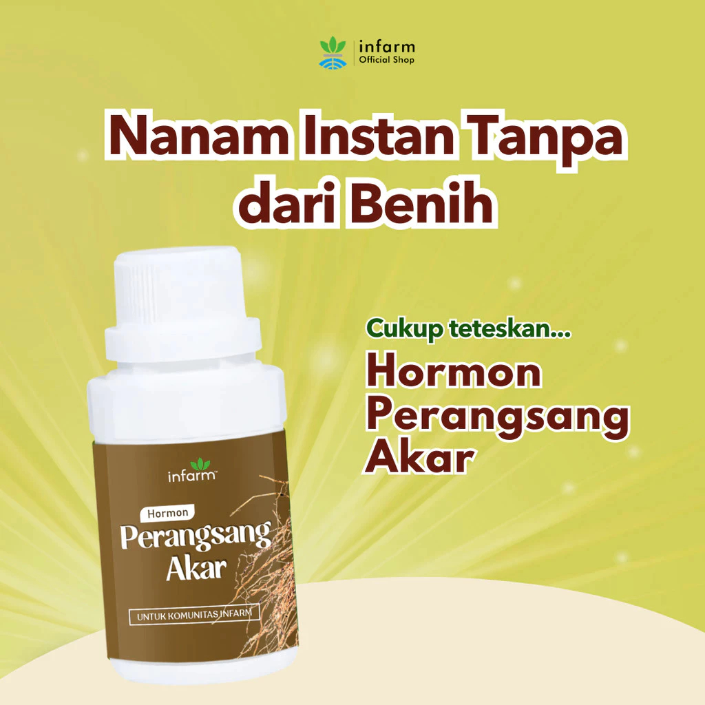 PERANGSANG AKAR TANAMAN STEK DAN INFARM NUTRISI KUALITAS BAIK 125 ML