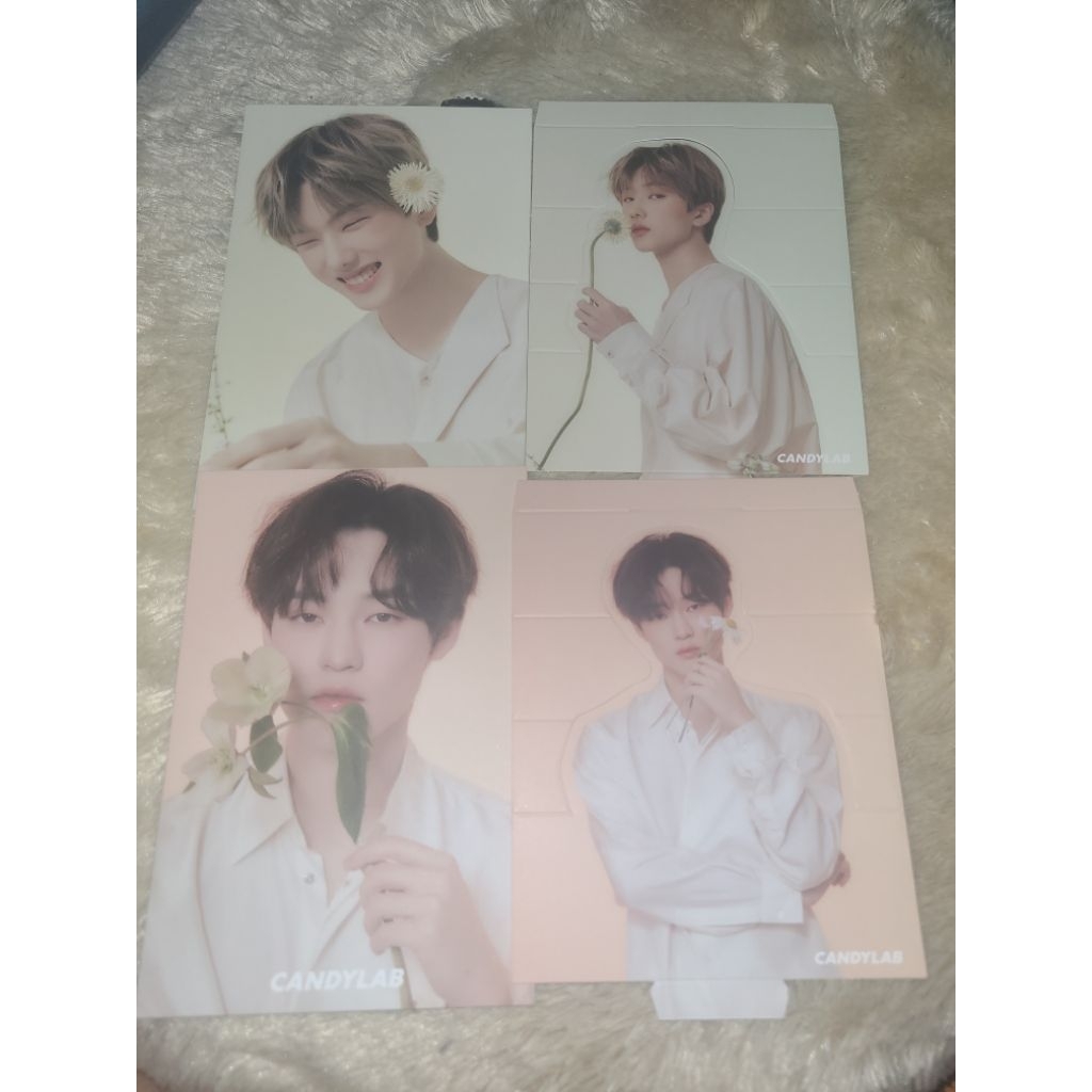 jisung chenle nct dream candylab postcard standee full bloom