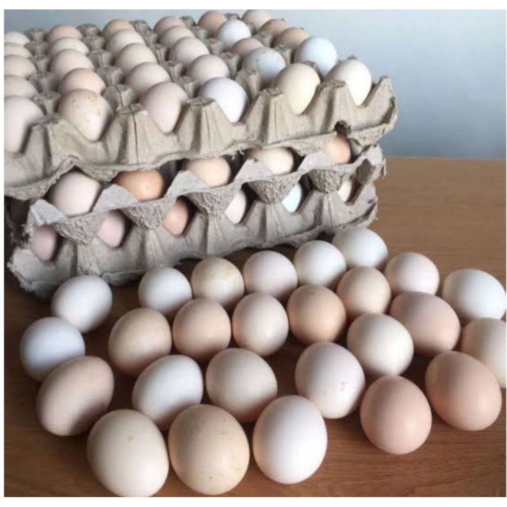 

telur ayam kampung 1 pireng isi 30 biji pilihan bppn