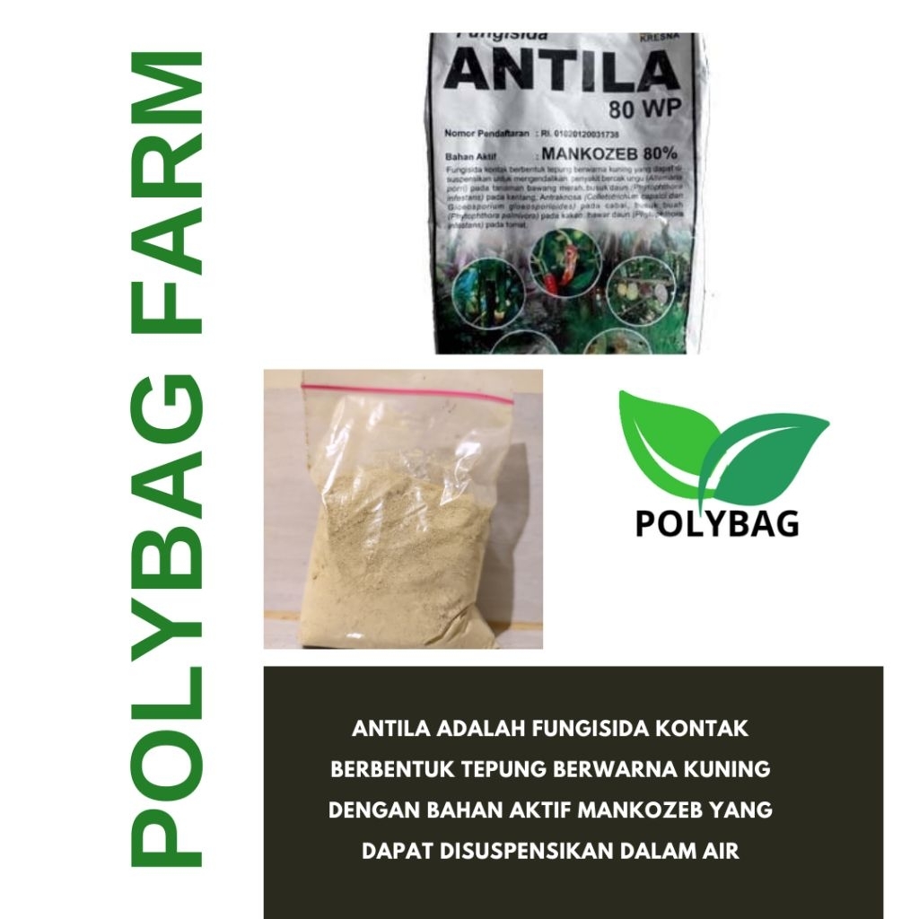 

Antila Kemasan Repack 150 Gram