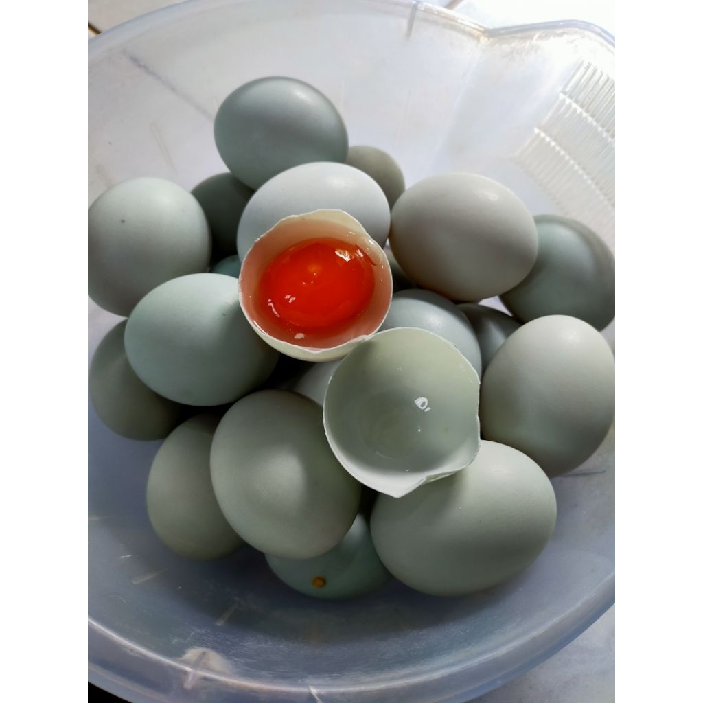 

telur bebek mentah (5 biji)