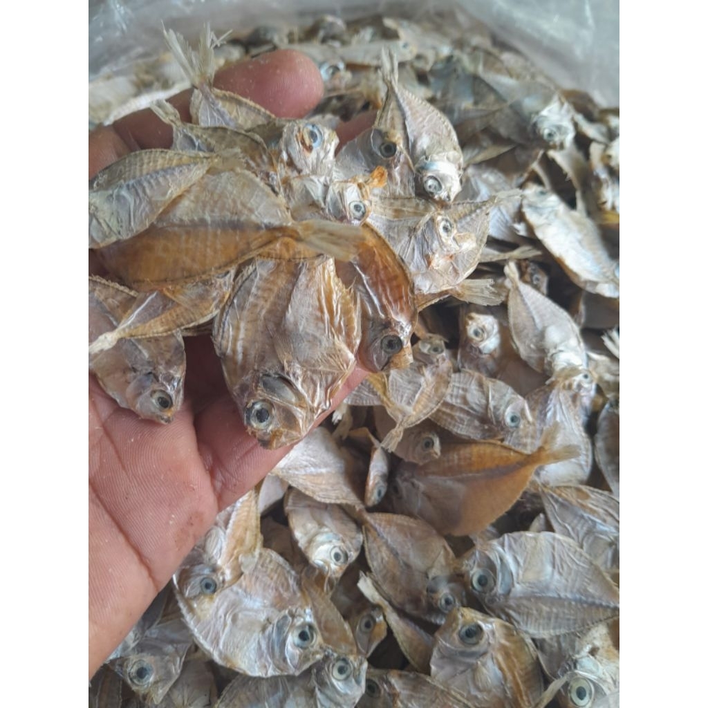

MACO HAJI/MACO KERIPIK