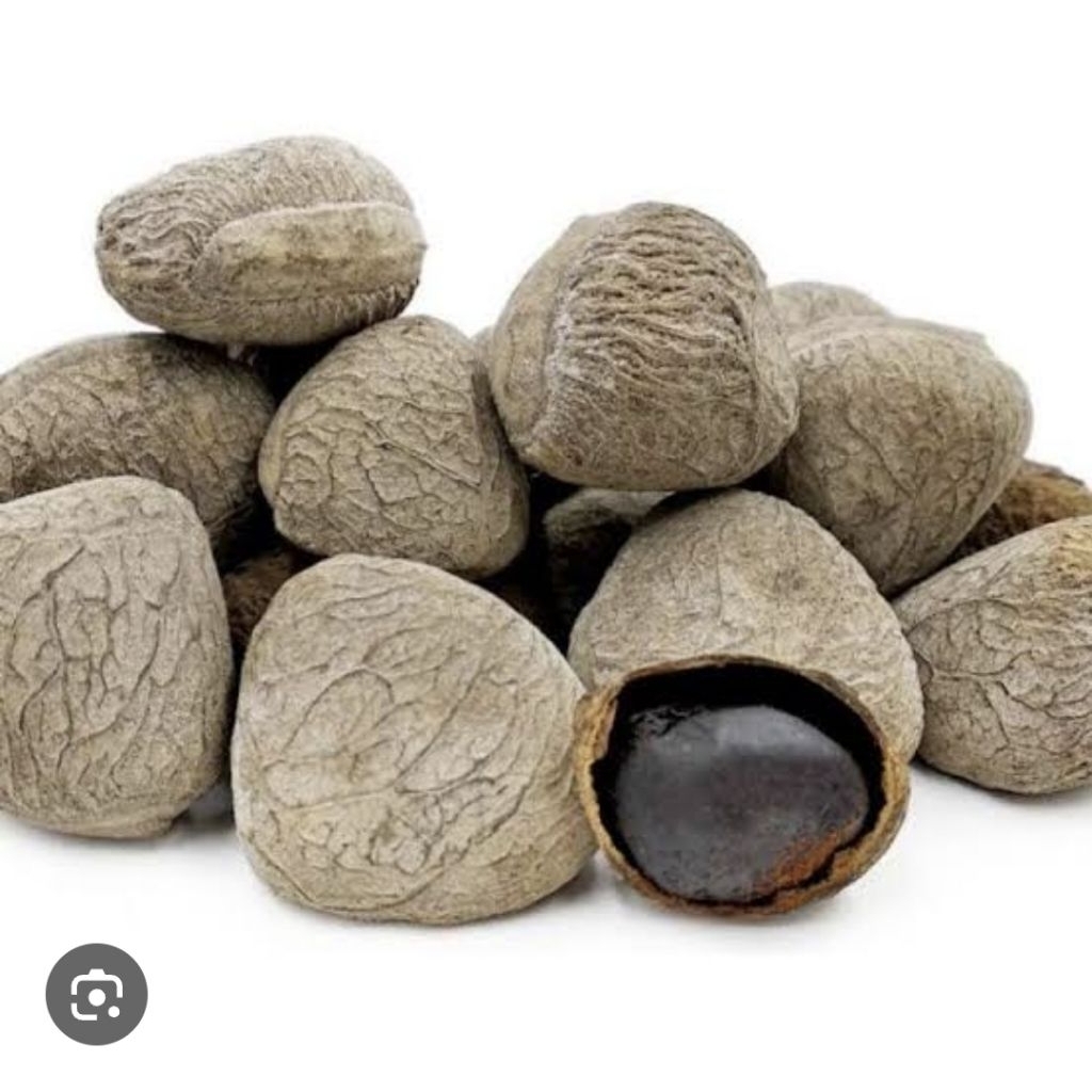 

Biji Buah Kluwek 250 Gram ( Bahan Rawon )