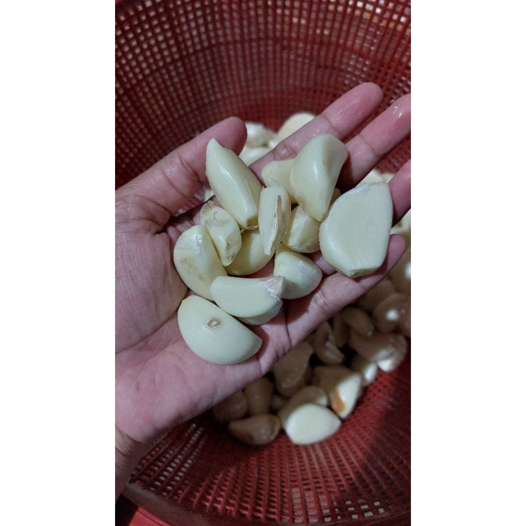 

Bawang Putih Kupas-Toko.Bapak