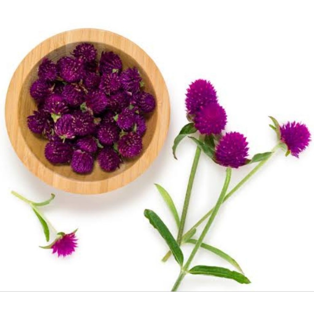 

Globe Amaranth Kering 100gram Teh Bunga Kenop Alami