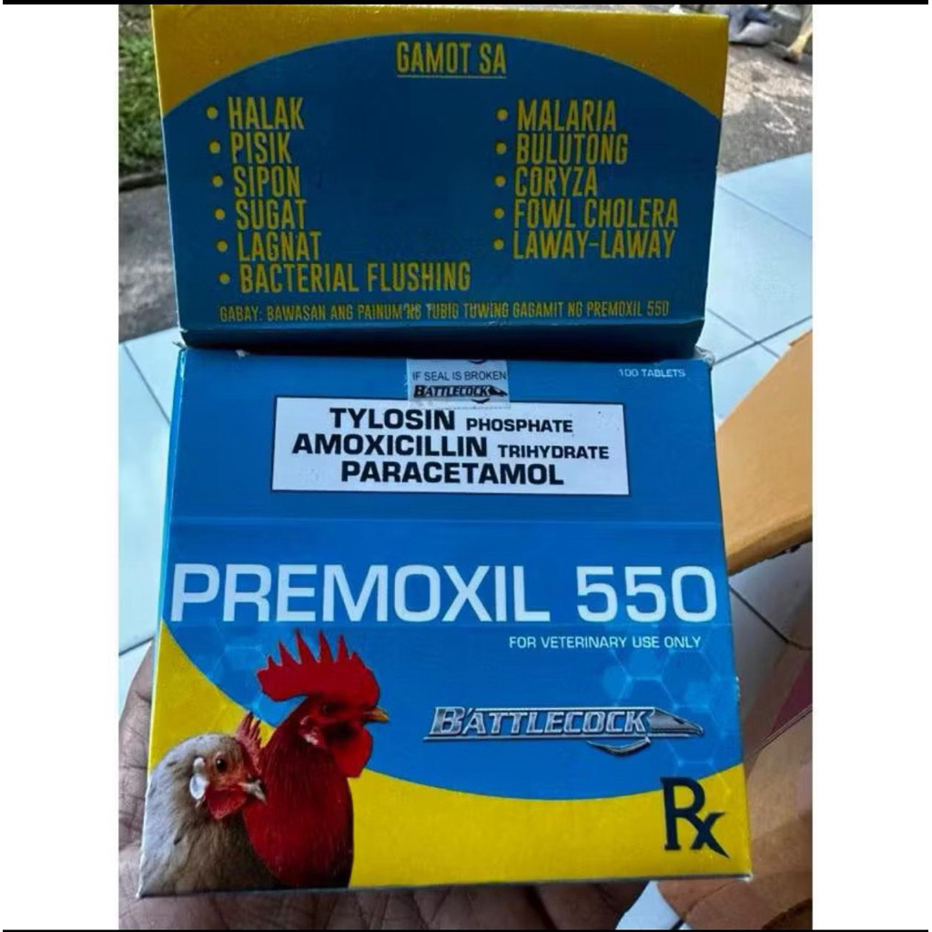 PREMOXIL 550 mengobati ayam kaki bengkak, Kepala bengkak dll