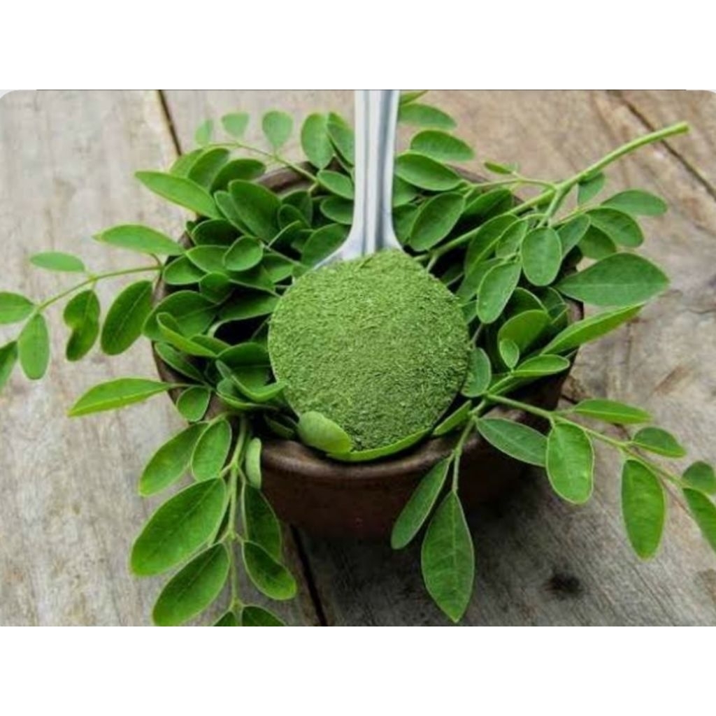 

DAUN KELOR 100% ORIGINAL BUBUK DAN DAU KERING