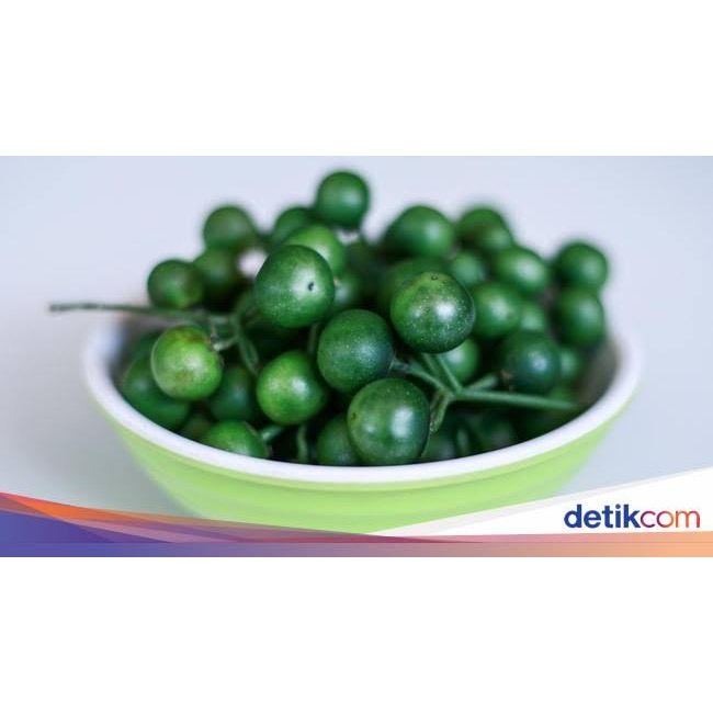 

LEUNCA SEGAR 100 GR HARIAN PASAR