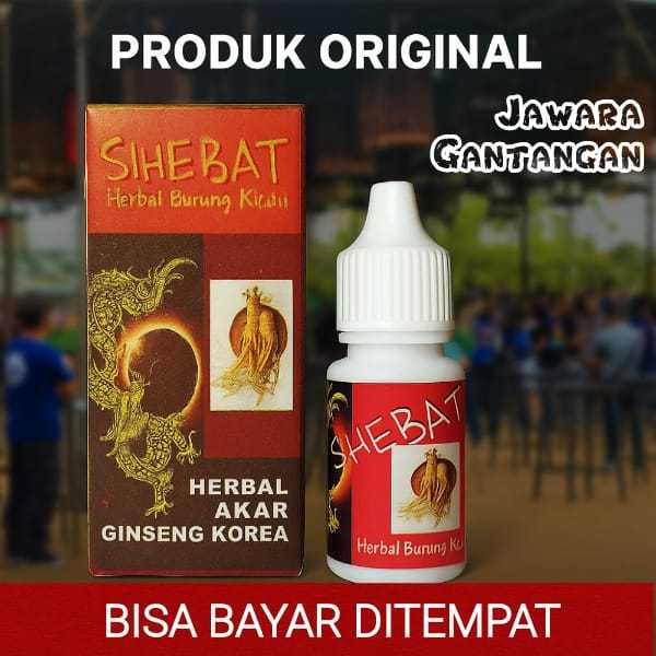 SIHEBAT Jamu Herbal Dari Rempah Herbal Pilihan Untuk Burung Kicau Sebagai Vitamin Otak Burung Murai 