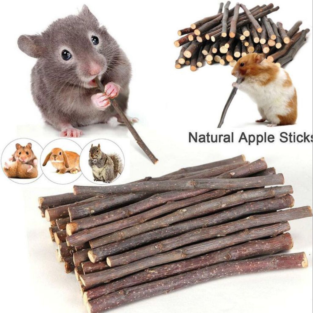 Mainan Hamster Stik Apel - Apple Orchard Stick - Chew Toy - Gigitan Hamster
