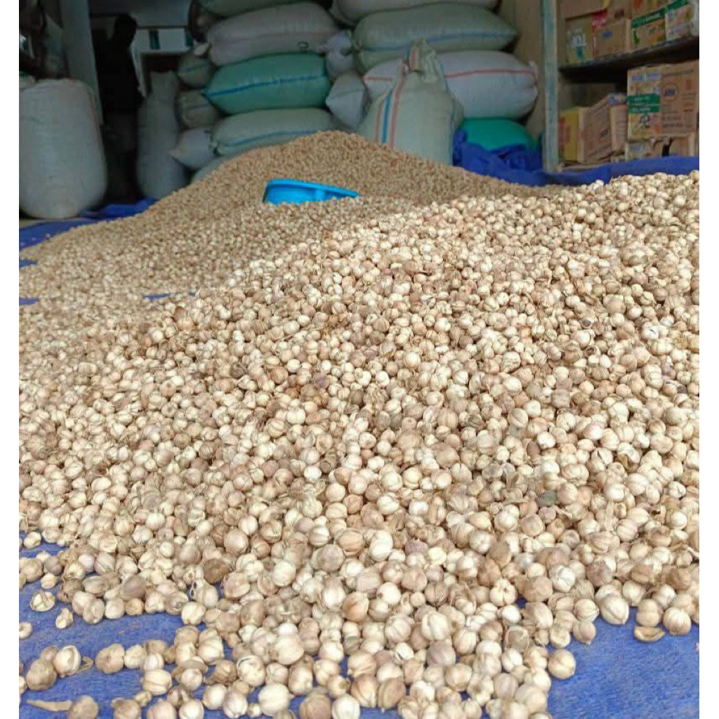 

Kapulaga Jawa putih kering utuh Super 100g-50gr Kapolaga putih