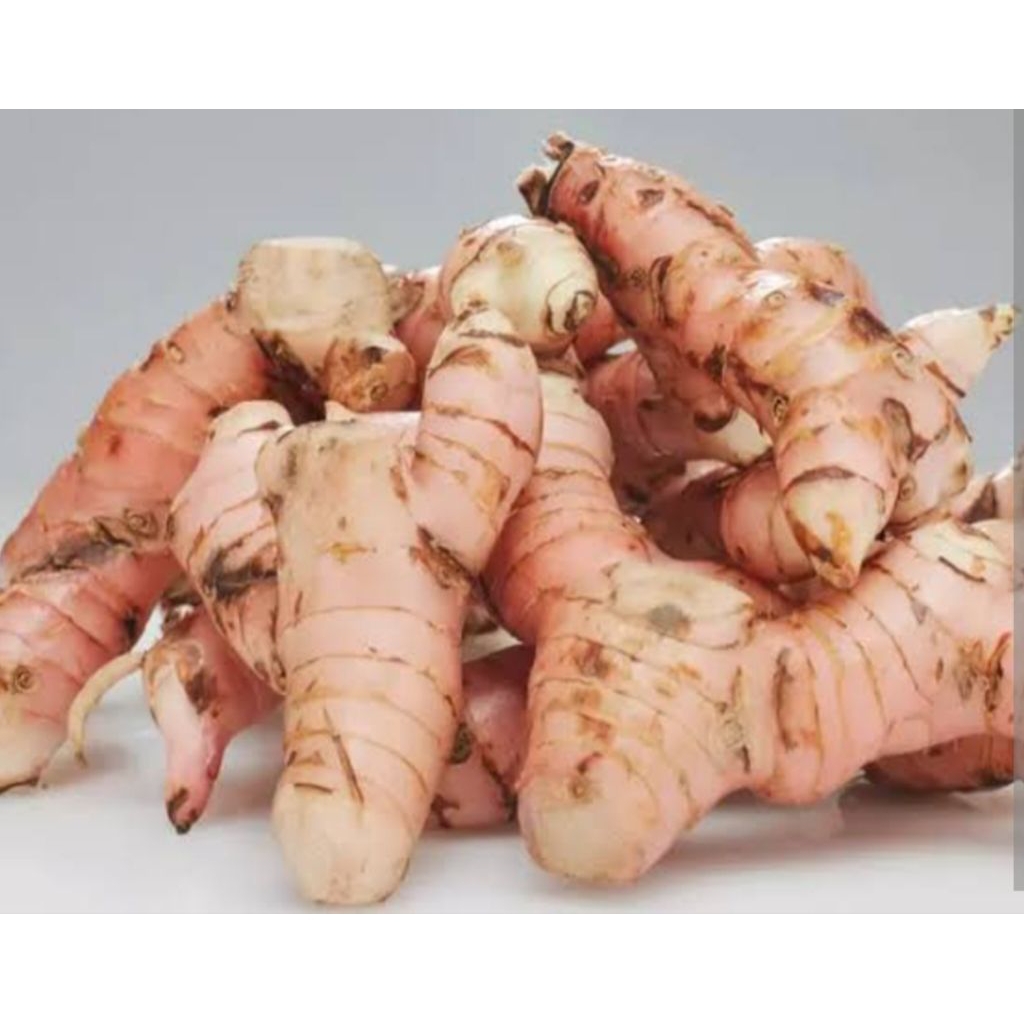 

lengkuas 250 gram bppn