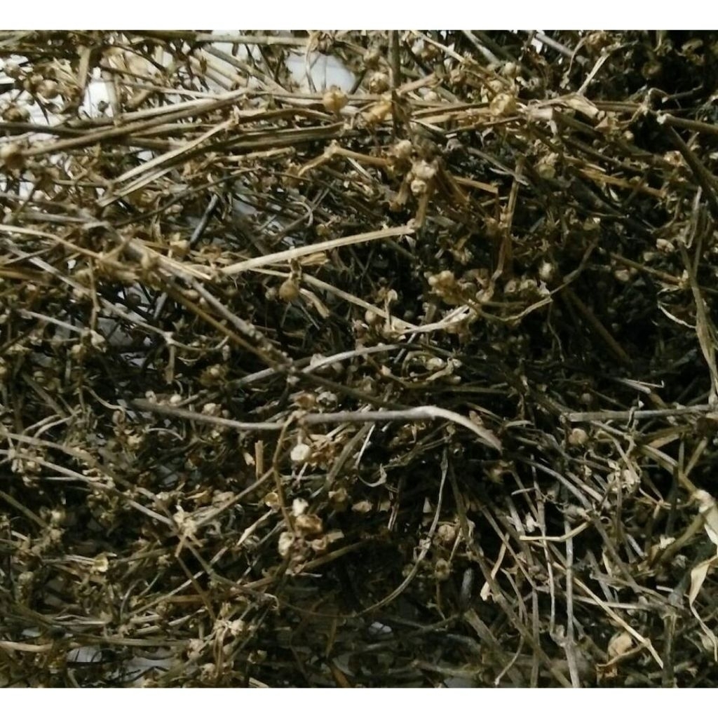 

Rumput Mutiara Kering 500gr