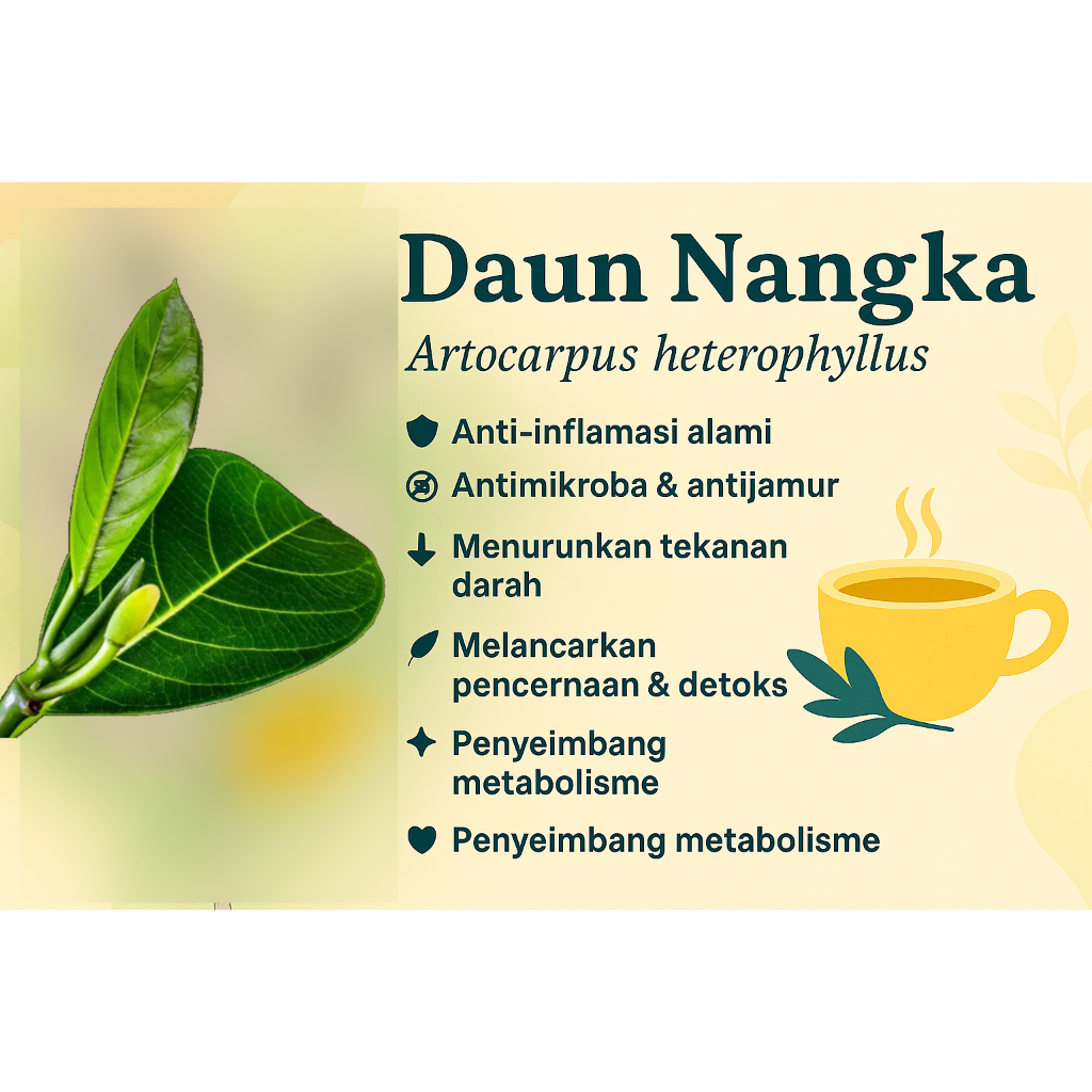 

Daun Nangka (Artocarpus heterophyllus) Teman Sehat Dari Secangkir Minuman Hangat