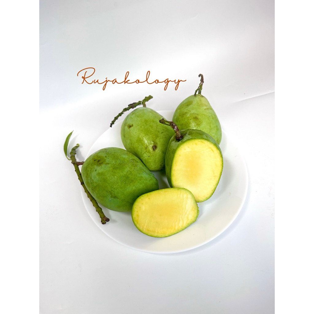 

MANGGA CENGKIR MENGKAL/MATENG FRESH MURAH MERIAH