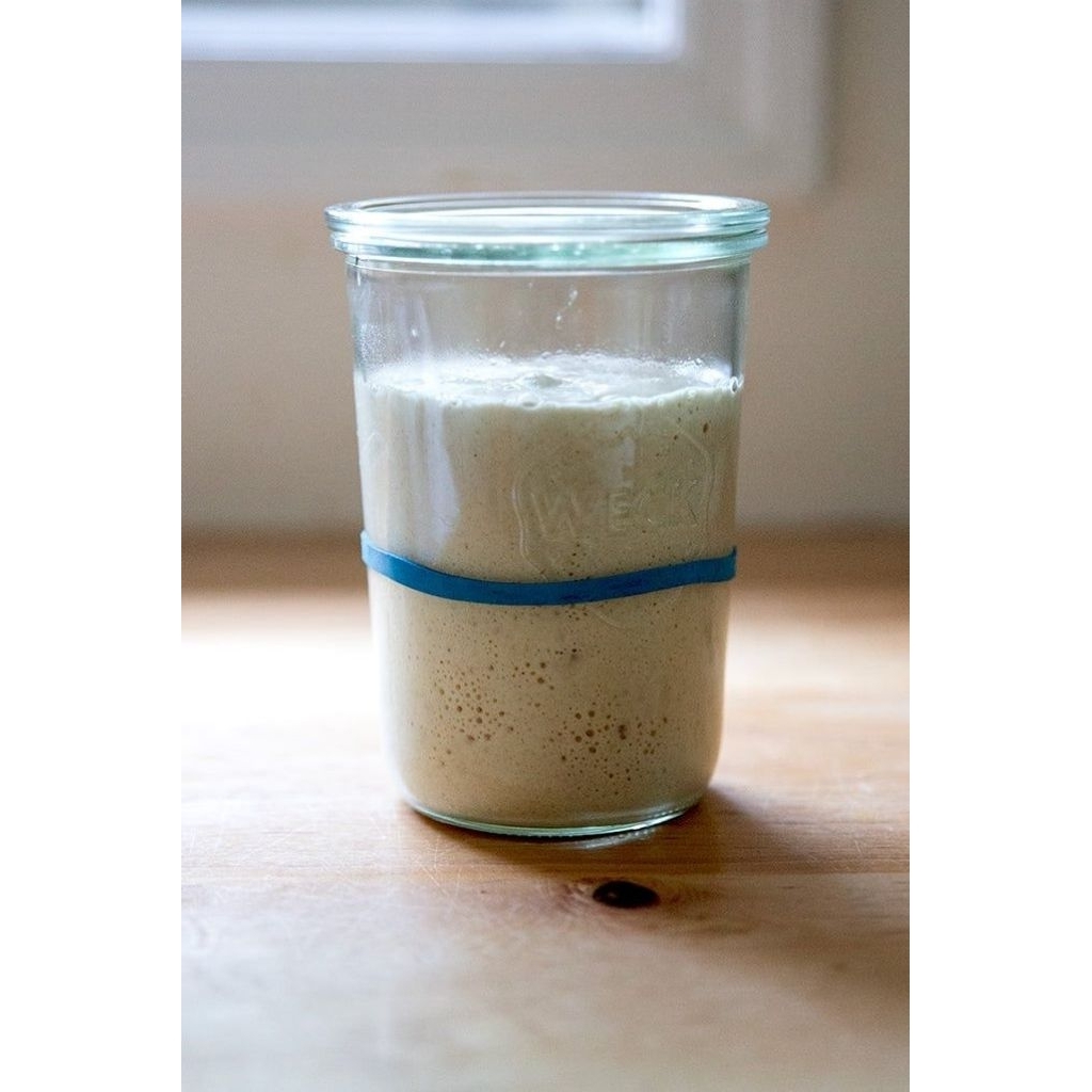 

sourdough starter white flour/ Ragi alami tepung putih/ wild yeast