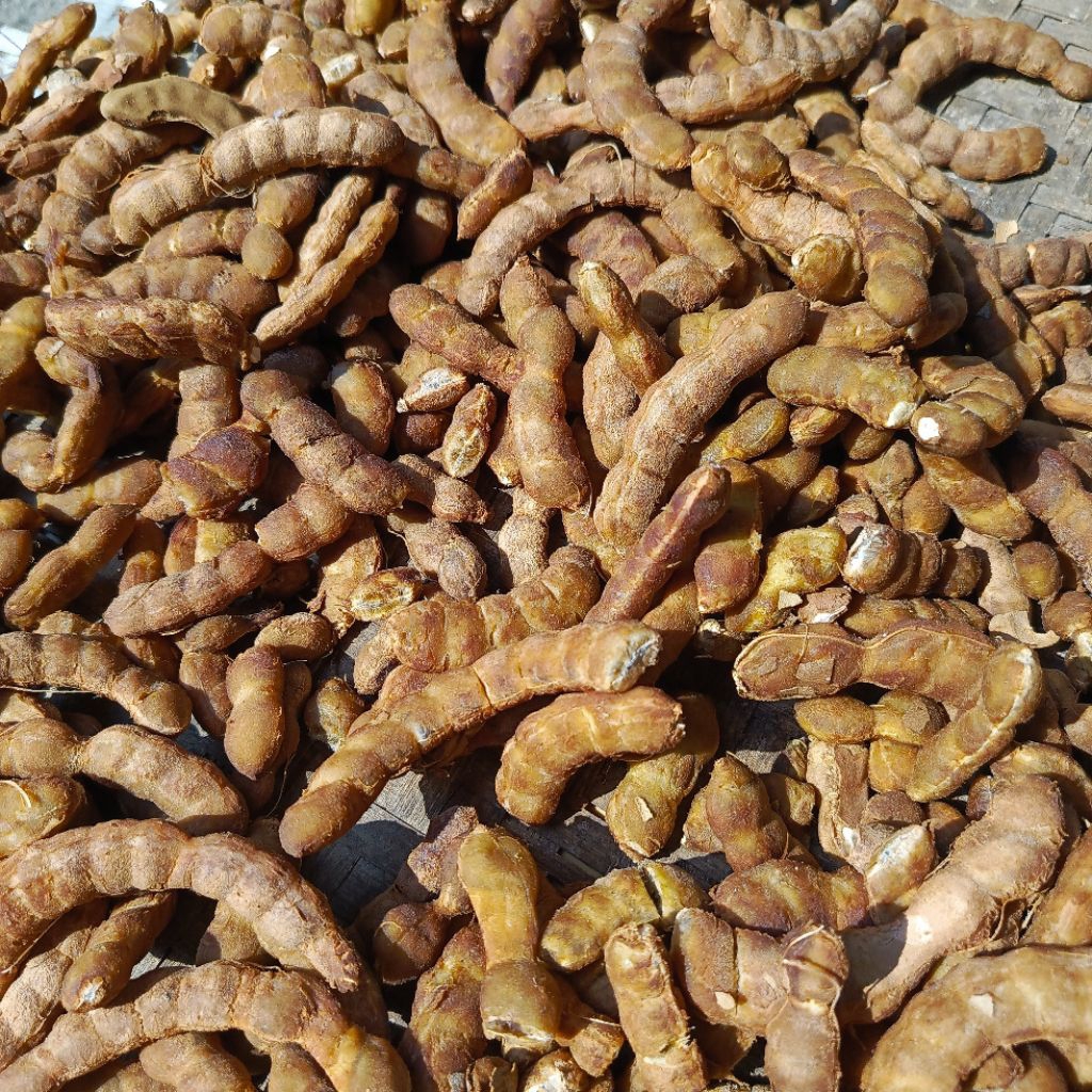 

ASLI DAN FRESH...!!! ASEM Jawa Segar 1Kg ASAM Jawa Kupas Dengan Biji - Asli Sragen