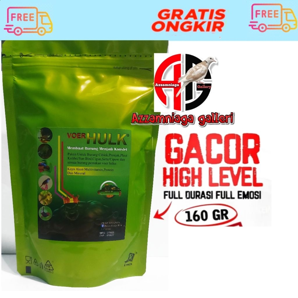 VOER HULK HIJAU VOER DEWA HULK VOER BURUNG PLECI SOGON KOLIBRI VOER LOMBA