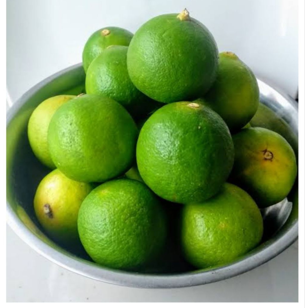 

jeruk nipis 1kg bppn