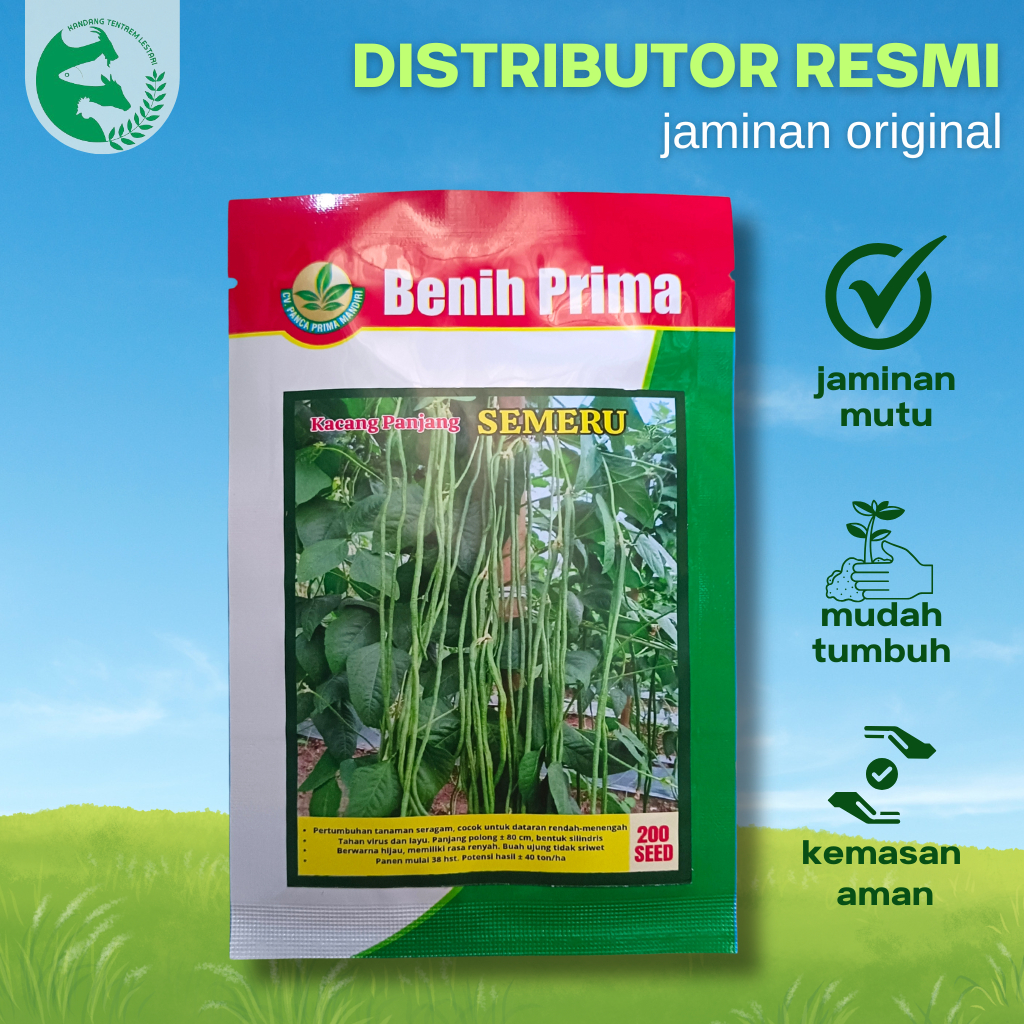 Benih Kacang Panjang Hijau SEMERU 500 Gram Benih Prima Unggul Lebat Mudah Dirawat Biji Merah Putih