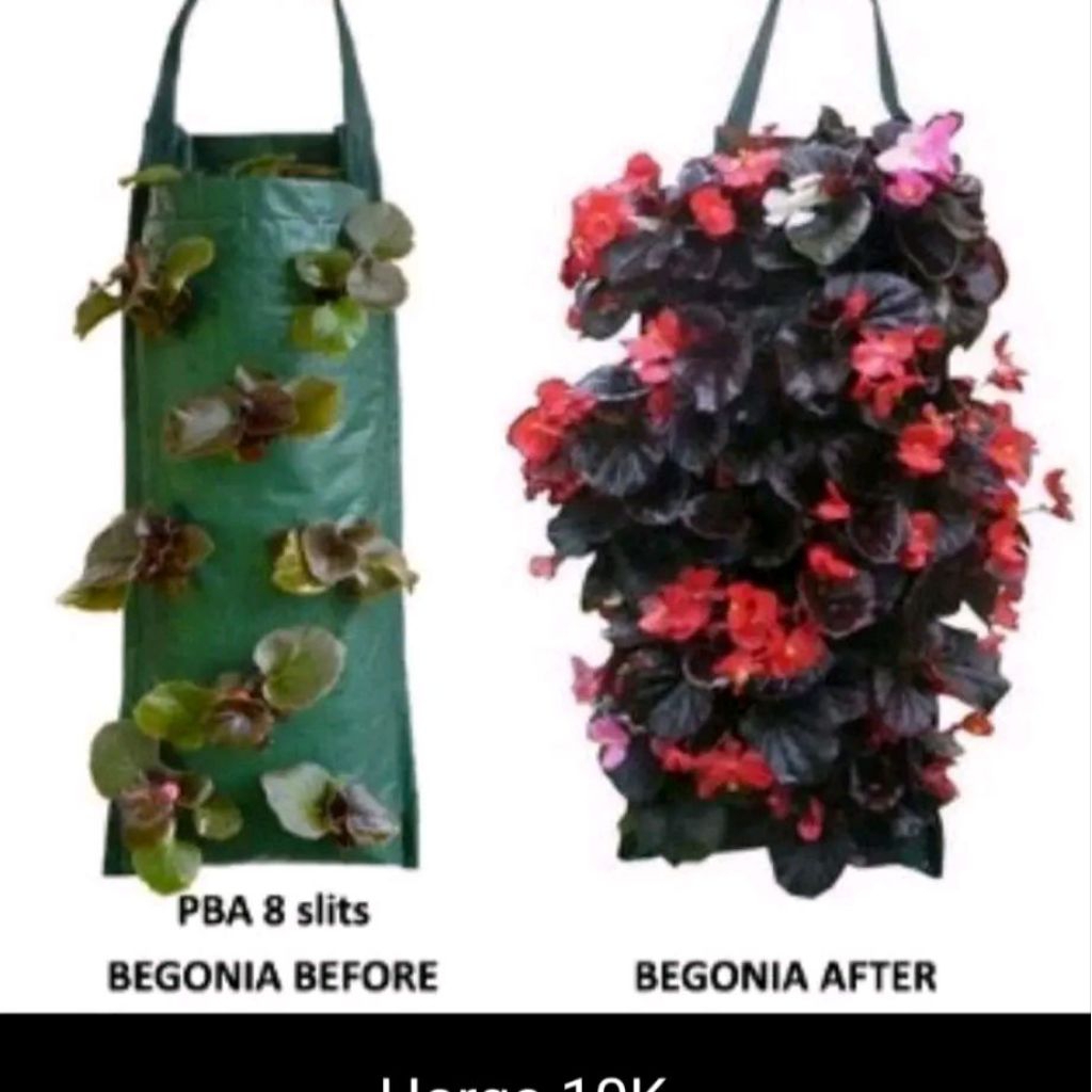 PLANTER BAG GANTUNG TEMBOK /EASY GROW / 8 LUBANG TANAM