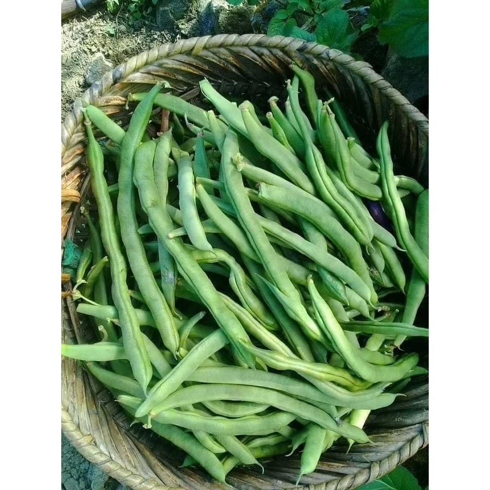 

Buncis super lalapan sayuran segar 500/1kg asli ciwidey Fresh