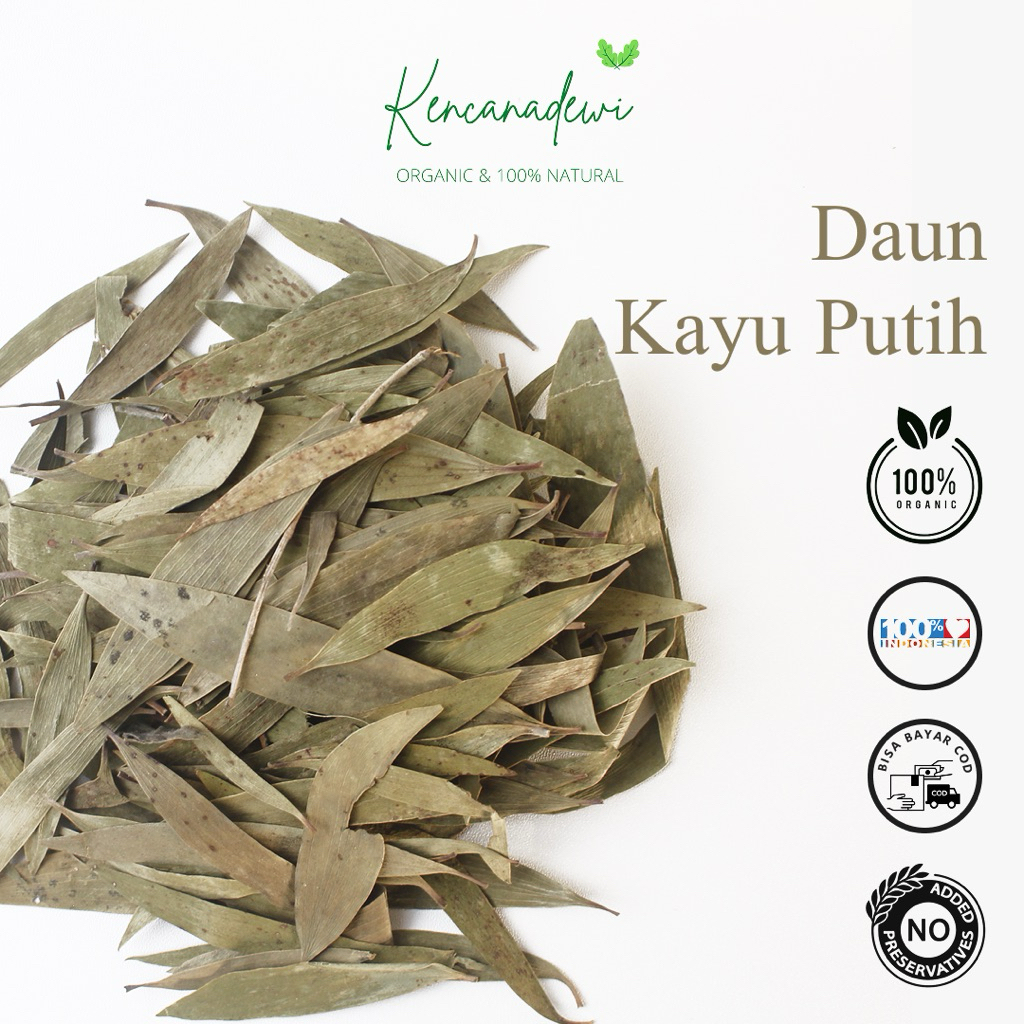

Daun Kayu Putih Kering-Eucalyptus-Ekaliptus 100gram-1kg ORIGINAL HERBAL
