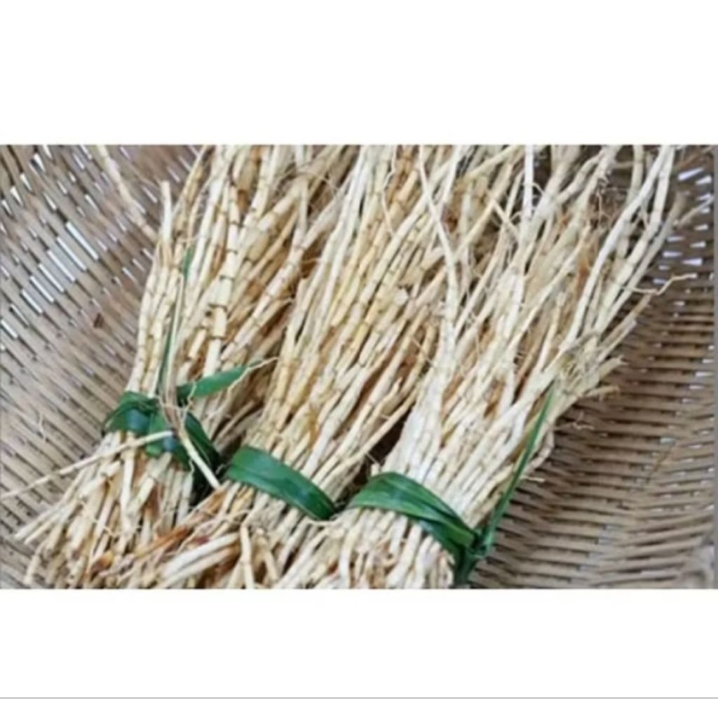 

Akar Alang alang,100gram