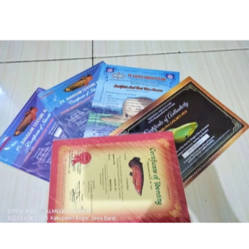 Sertifikat Dan Chip Arwana Arowana Golden Red (RTG)