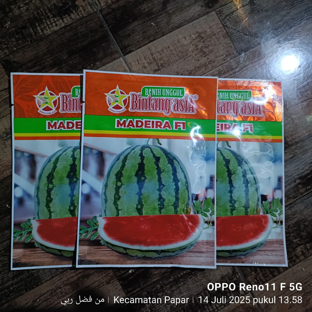 Benih semangka Hibrida MADEIRA  F1-BINTANG ASIA 20gr
