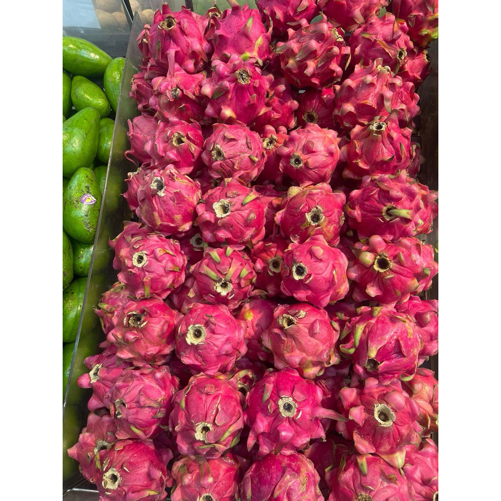 

Buah Naga Merah / Dragon Red Fresh 1 kg