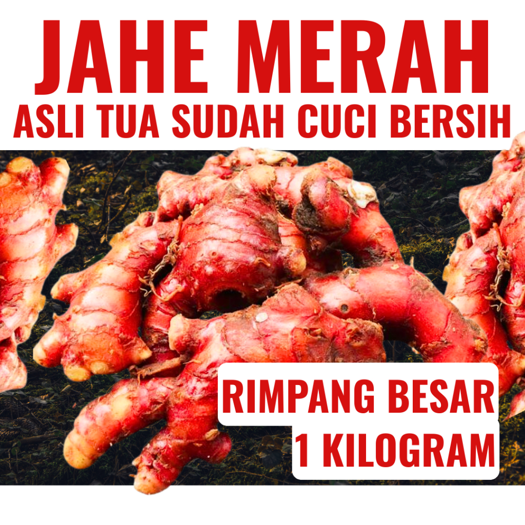 

Jahe Merah 1Kg Segar Asli Bersih Sudah Dicuci Rimpang Besar Fresh