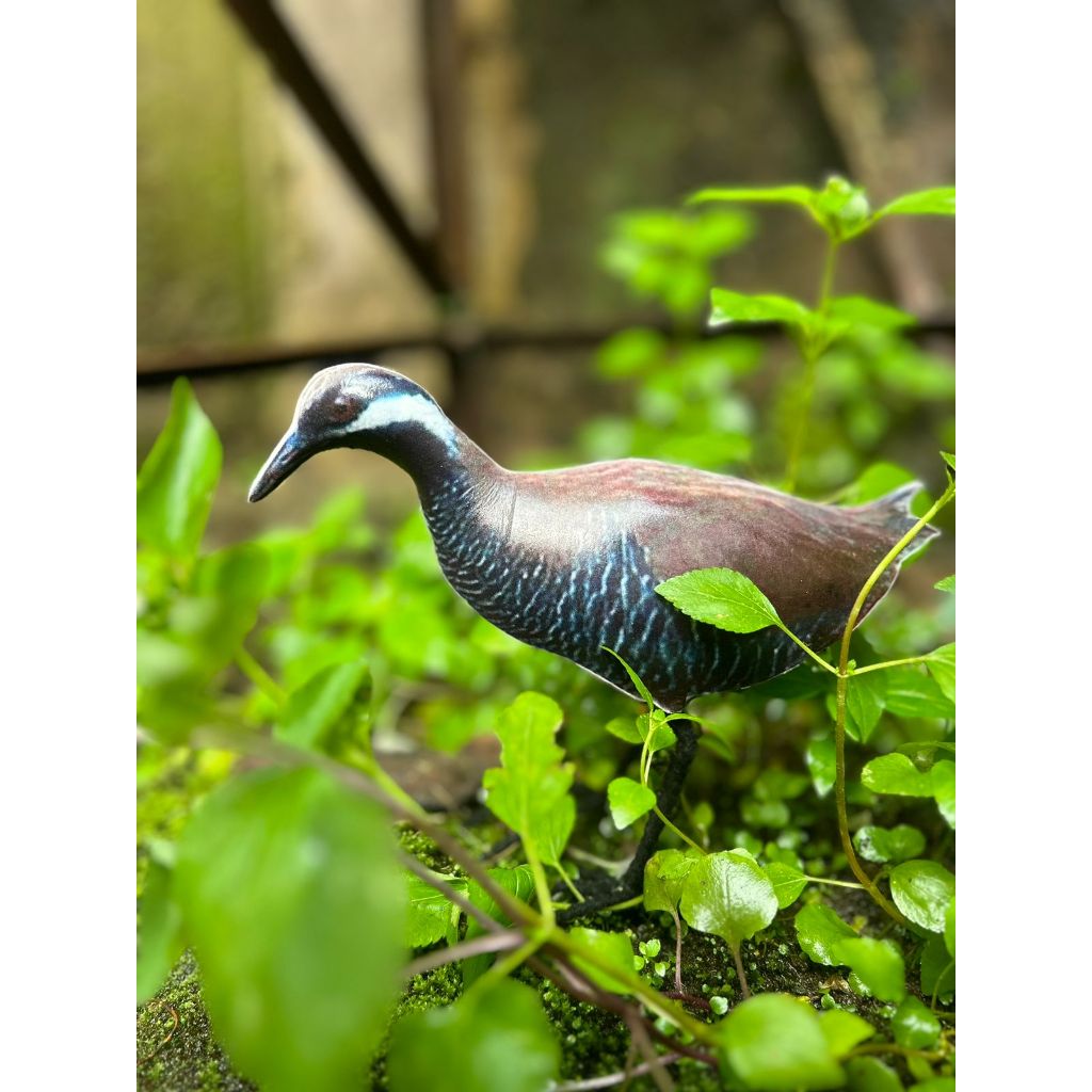 patung jontrot burung sintar ladang