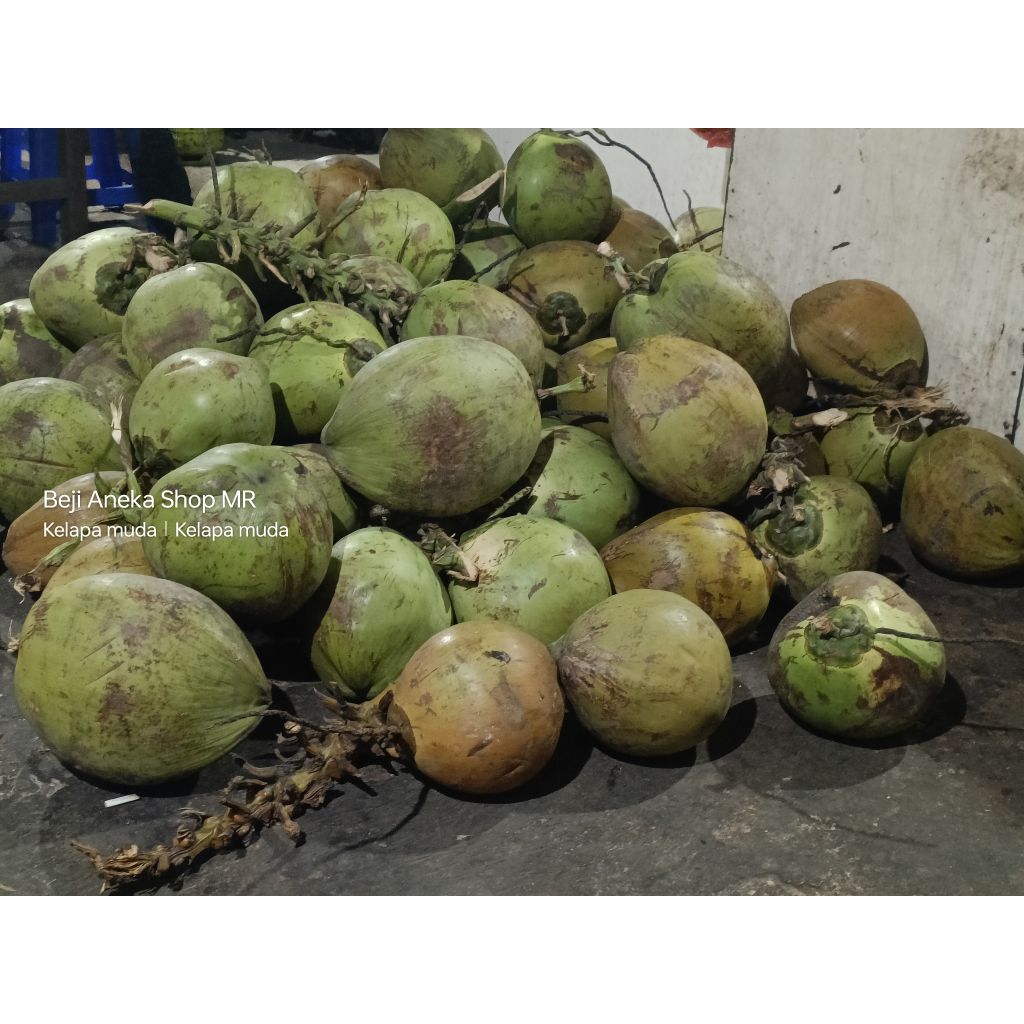 

coconut , kelapa muda utuh tidak di potong tidak di papras