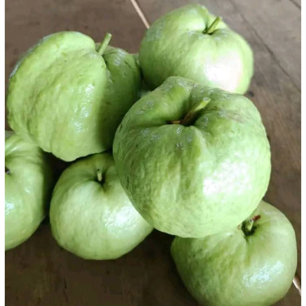 

(1 Kg) Jambu kristal manis segar kriuk tanpa biji