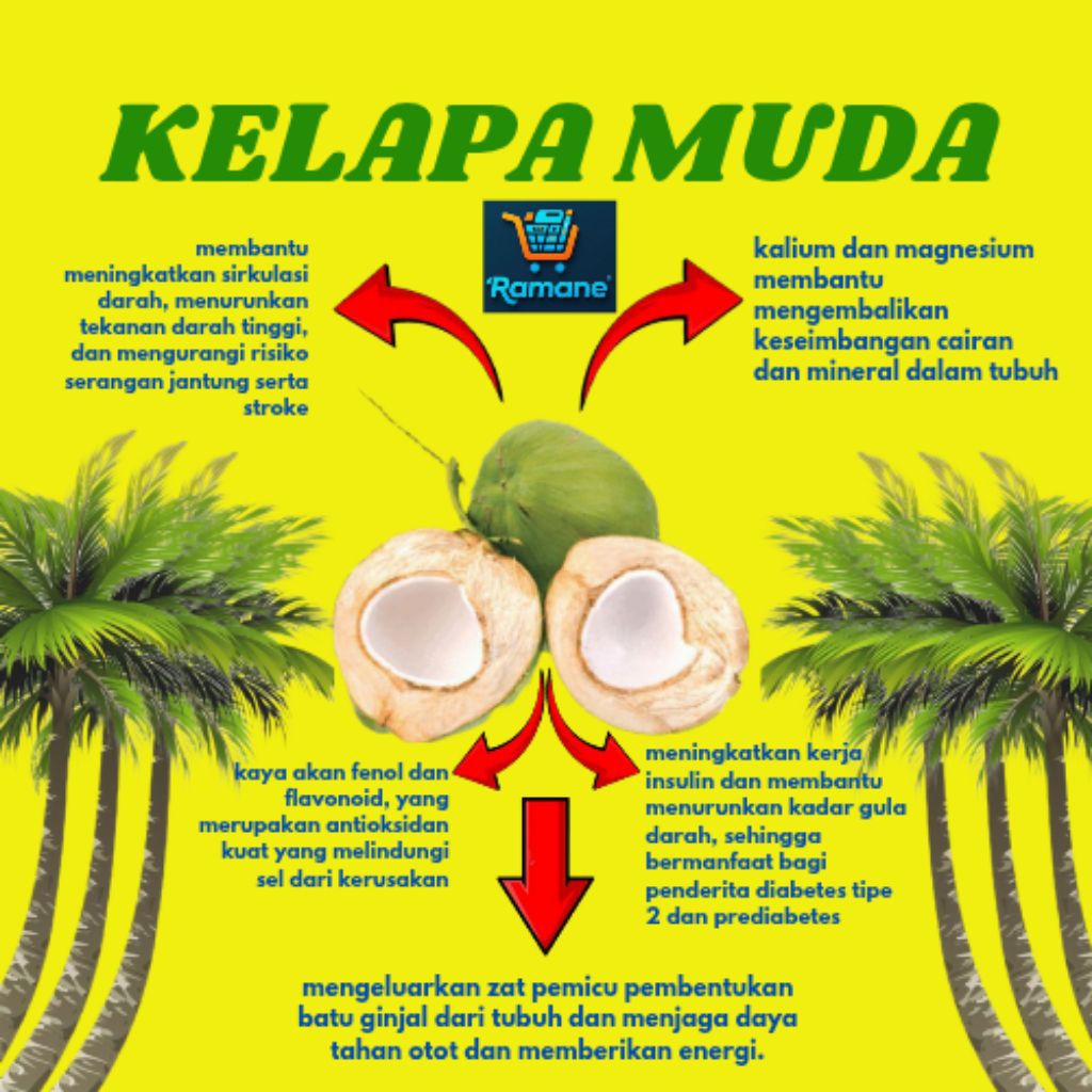 

Ramane Kelapa Muda Kaya Akan Manfaat Mengandung Berbagai Khasiat Untuk Menjaga Kesehatan Tubuh