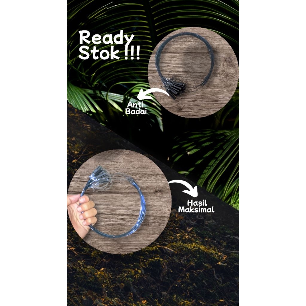 Jerat Racik Burung Ruak -Ruak