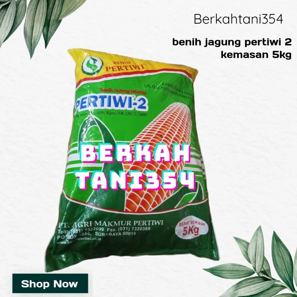 Benih jagung pertiwi 2kemasan 5kg Bibit jagung hibrida pertiwi 2 5kg pertiwi 3