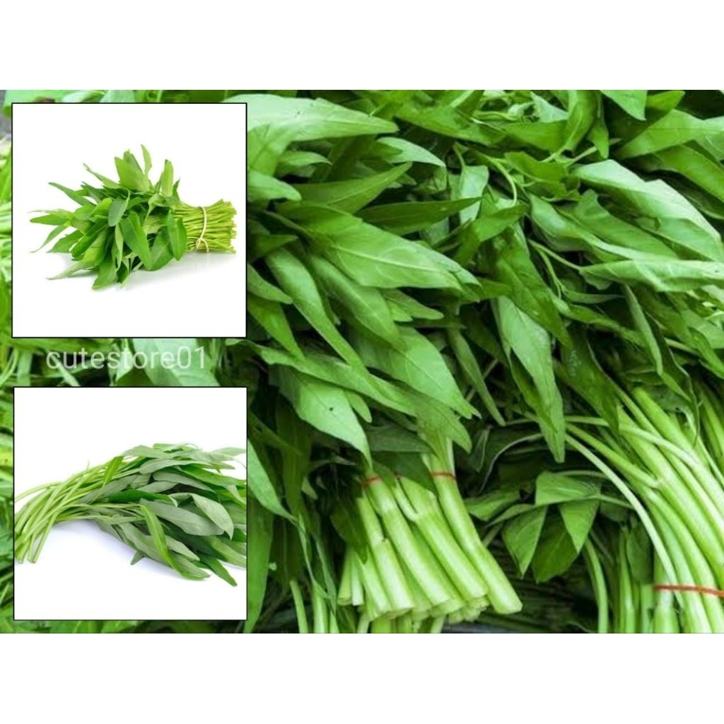 

Kangkung Sayuran Segar 500Gram