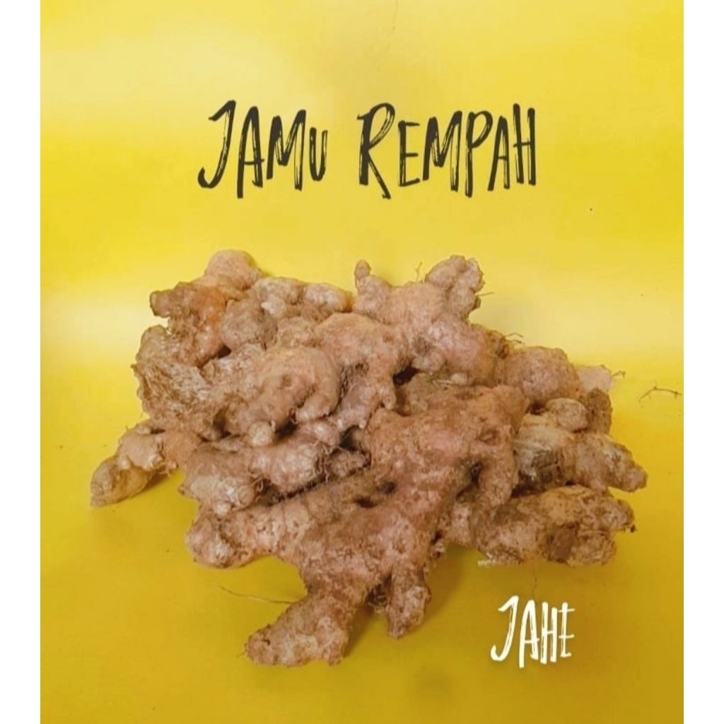 

Jahe fresh 1kg jae jamu bumbu dapur rempah herbal