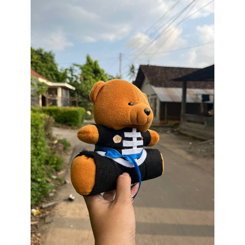 BIG PROMO MYDERRA Bear Mini Boneka Pencak Silat IKSPI Kera Sakti Ukuran 13 dan 15 CM