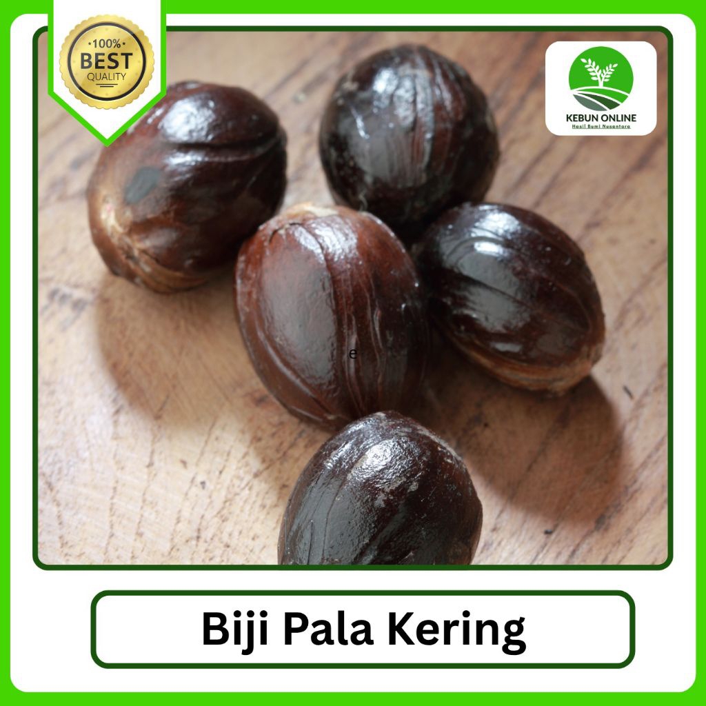 

Biji Buah Pala Kering [100g/200g] Paket Hemat COD Murah