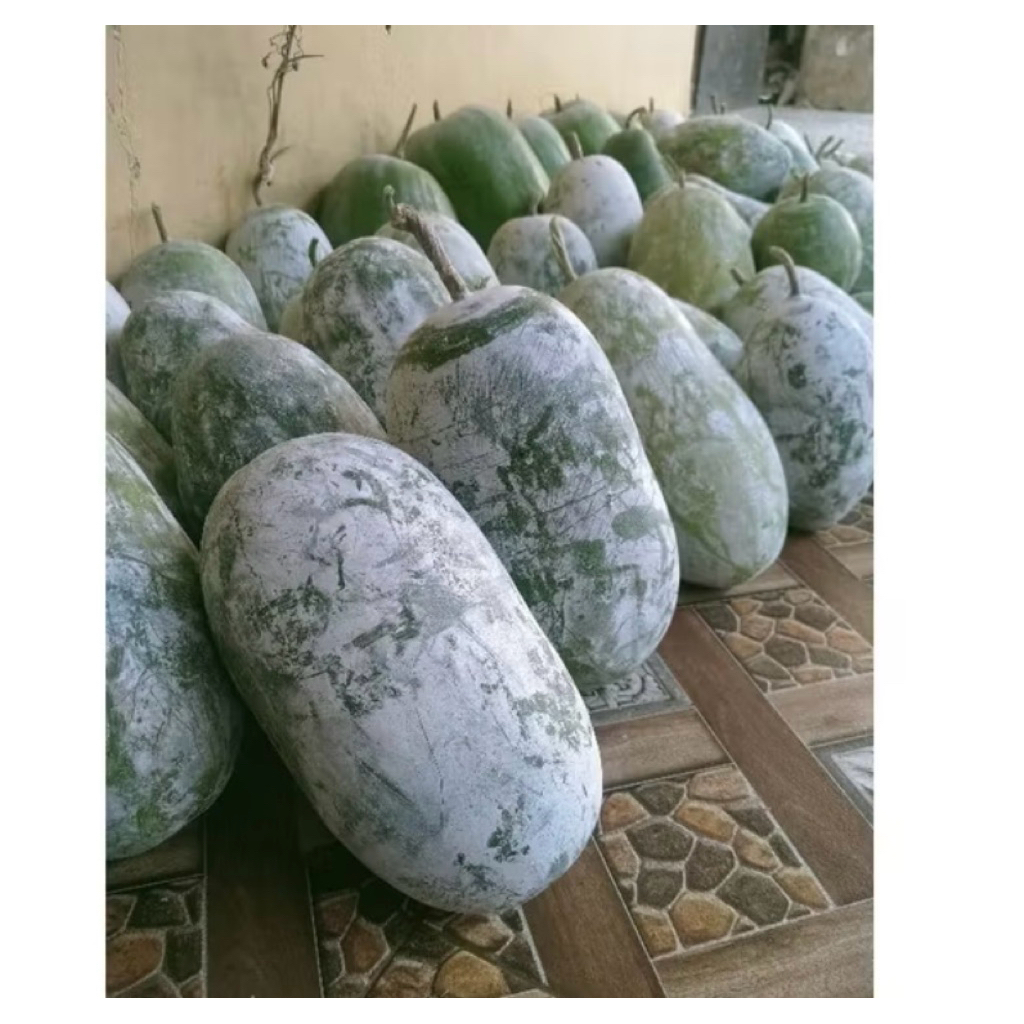 

SALE BUAH BLIGO / BUAH KUNDUR / WINTER MELON 2 - 2,4 KG