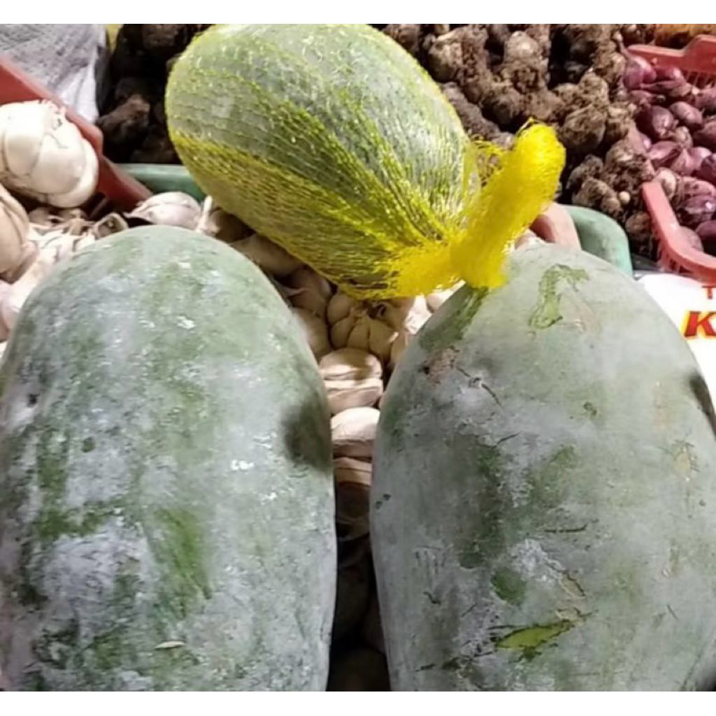 

Buah Beligo Bligo Kundur 1-1,5Kg SEGAR, Baru petik, Herbal berkualitas