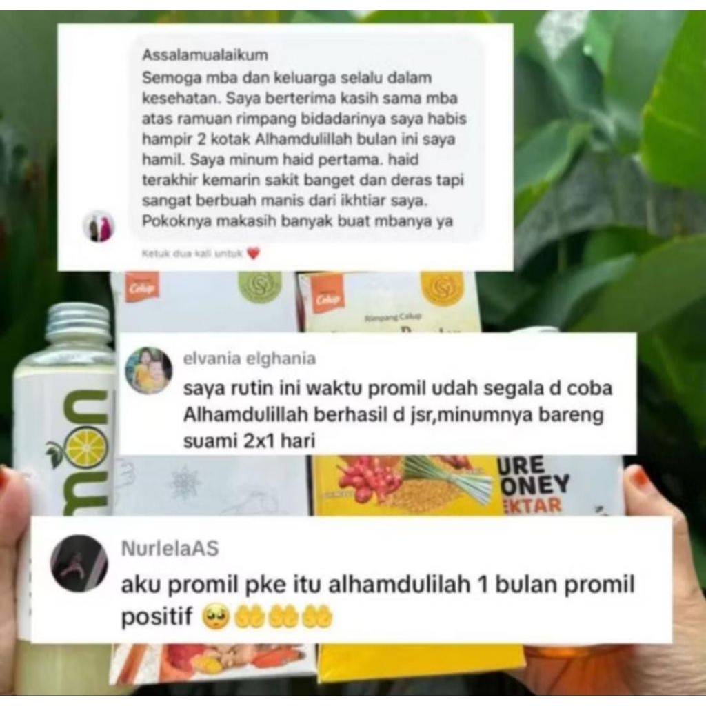 

RIMPANG JSR | PAKET HEMAT PROMIL 100%ORI HERBAL