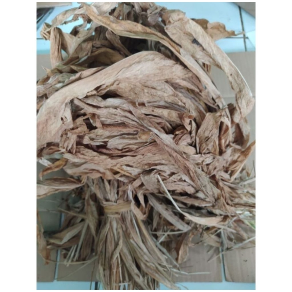 

daun kunyit kering siap kirim 100g